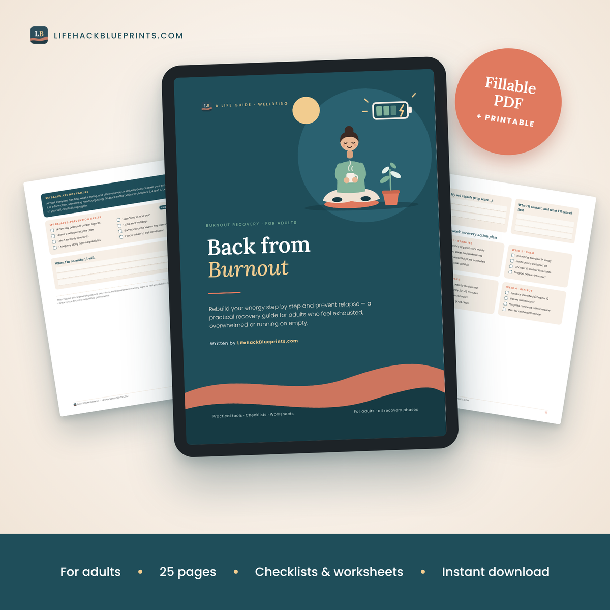 Back from Burnout - A Practical Recovery Guide for Adults Running on Empty